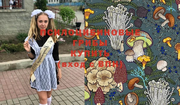 молекула духа Алексин