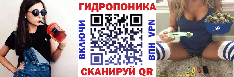 Шишки марихуана марихуана  хочу   Тара 